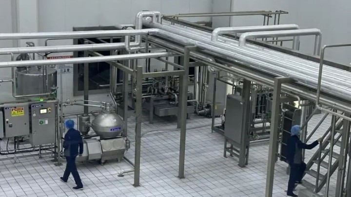 【节日我在岗】甘肃博贞原生物乳业有限公司：用坚守诠释新春&ldquo;敬业福&rdquo;