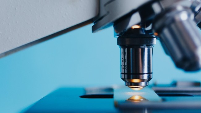 在医药中的应用