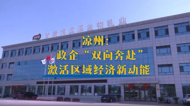 凉州：政企&ldquo;双向奔赴&rdquo;激活区域经济新动能