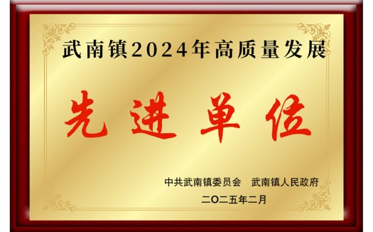 武南镇2024年高质量发展先进单位
