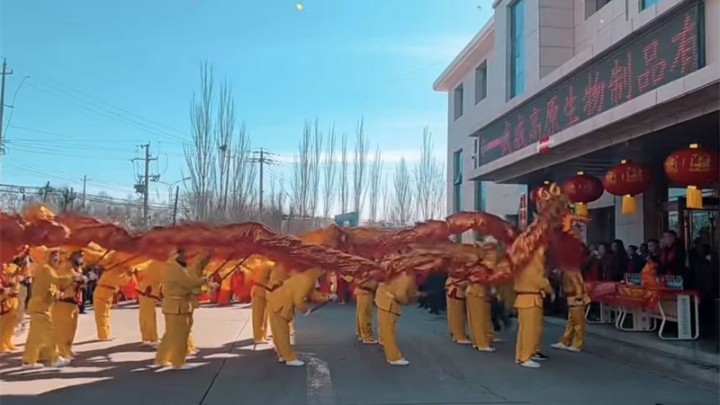 2024年2月17日高原生物社火表演圆满举办，喜庆迎展风采