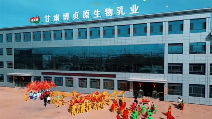 2024年2月17日博贞原生物乳业社火表演，喜迎新春共庆佳节