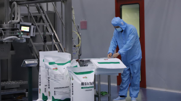 【图文新闻】甘肃博贞原生物乳业有限公司：深耕乳品精深加工 赋能奶业全链发展