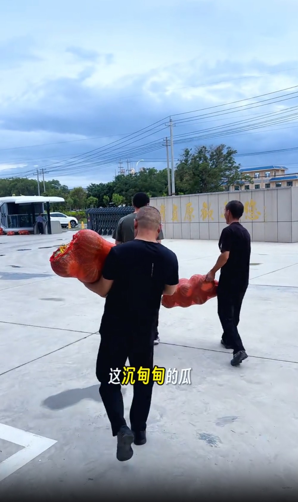 微信图片_20260713093111_193_2.jpg