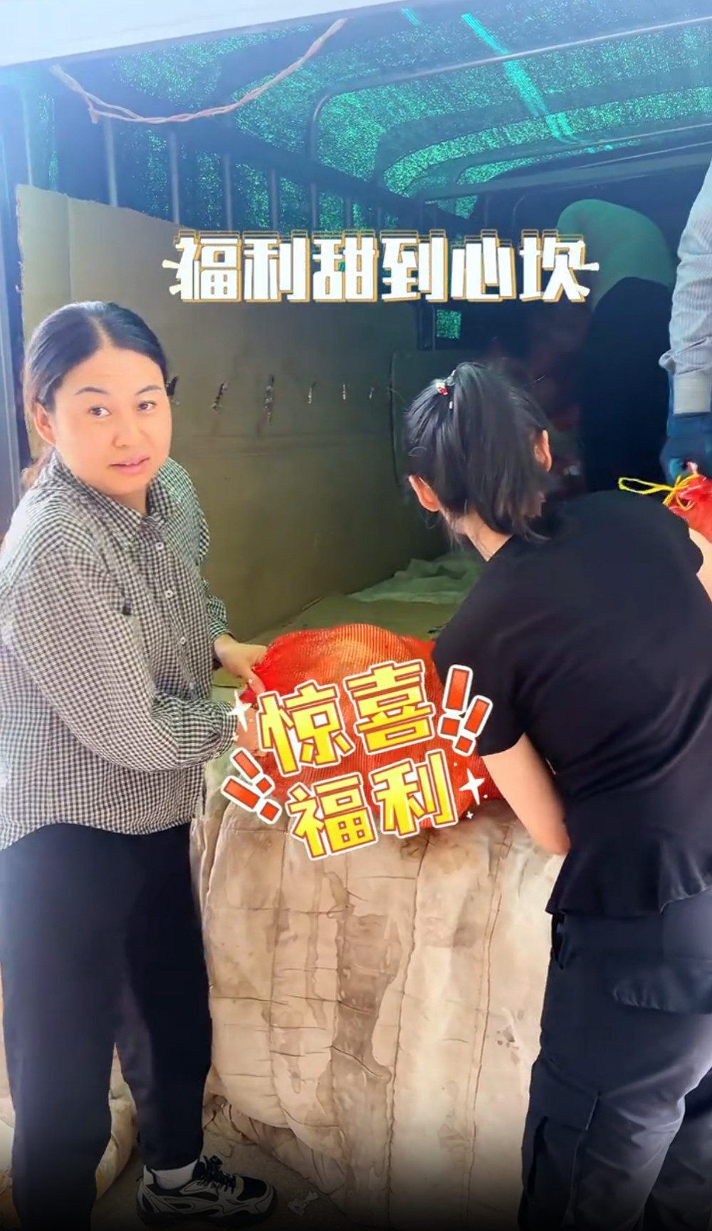 微信图片_20260713093036_192_2.jpg